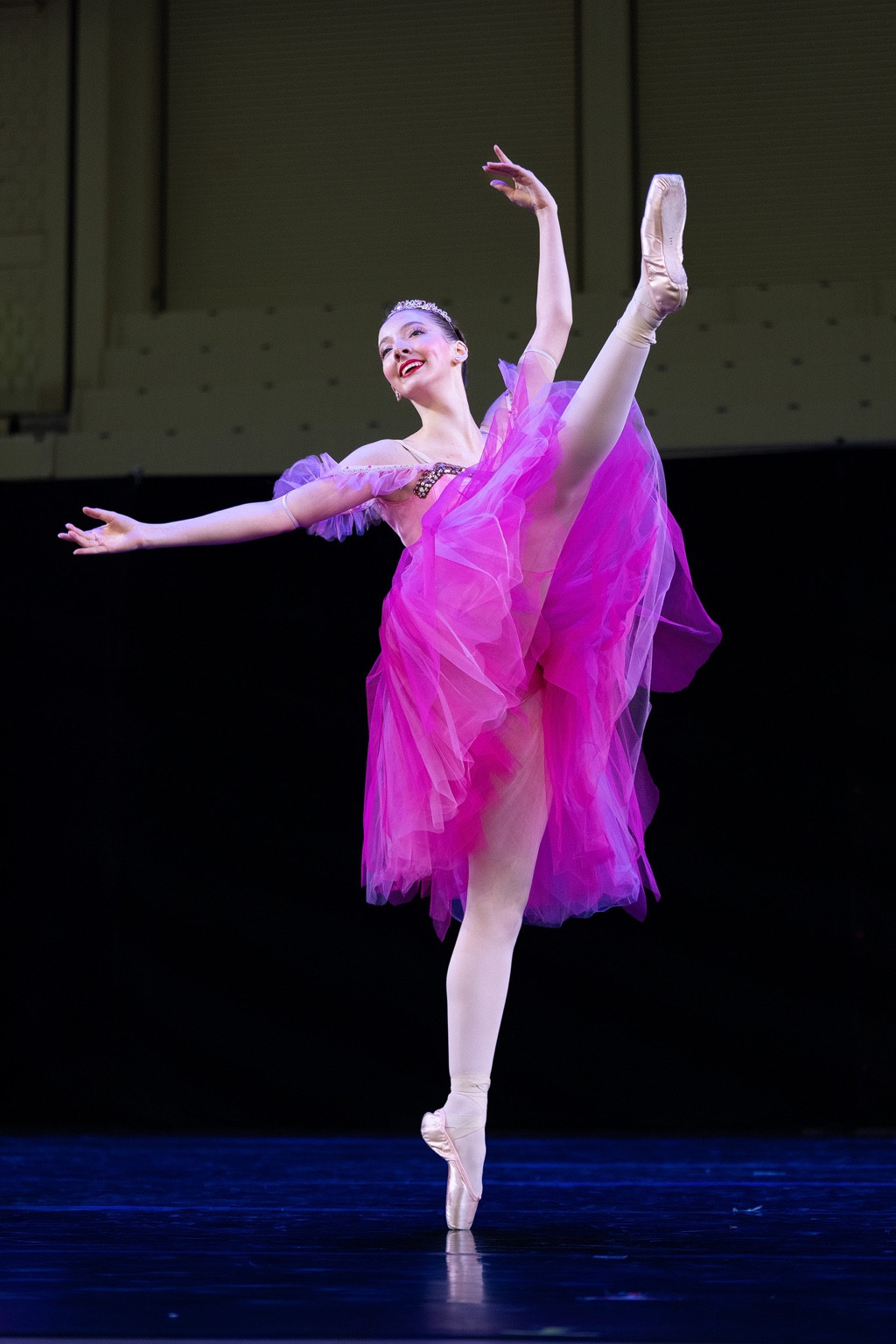 Ballet in pink 2